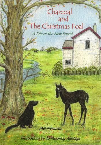 Charcoal and the Christmas Foal