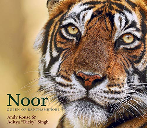 Noor