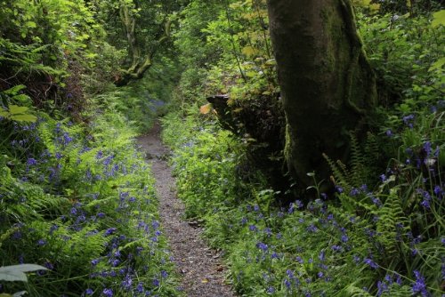 Pembrokeshire Promise