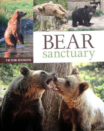 Bear Sanctuary