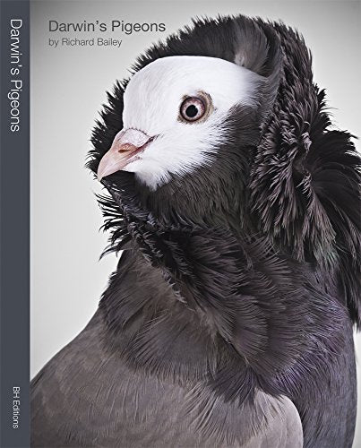 Darwin's Pigeons