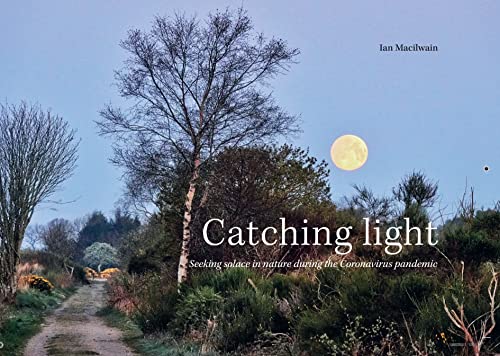 Catching Light