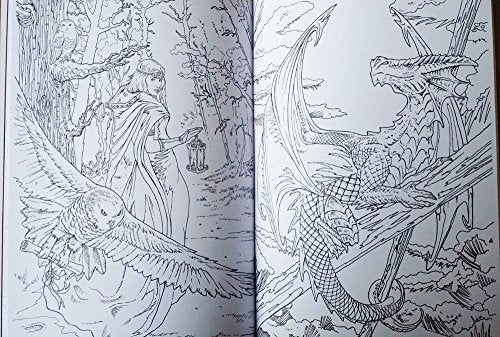 The Anne Stokes Fantasy Art Colouring Book