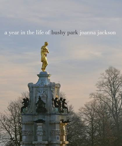 A Year in the Life of Bushy Park