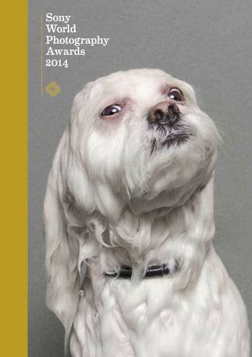 Sony World Photography Awards 2014