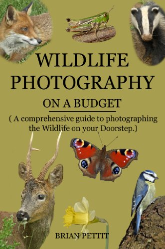 Wildlife Photography on a Budget