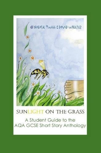 Sunlight on Grass: a Student Guide to the AQA GCSE Short Story Anthology
