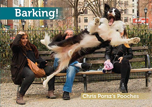 Barking! A dog book with a twist.