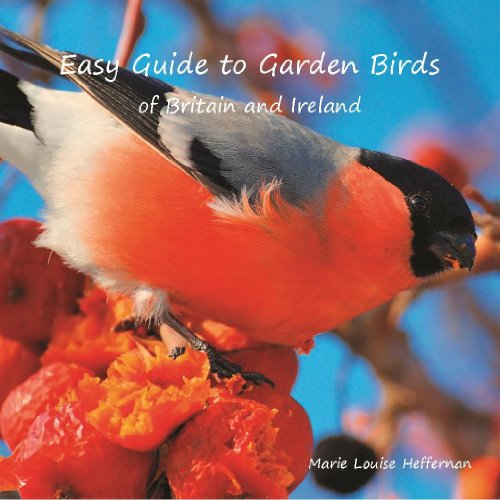 Easy Guide to Garden Birds of Britain & Ireland
