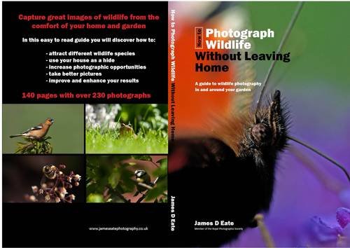 How to Photograph Wildlife without Leaving Home