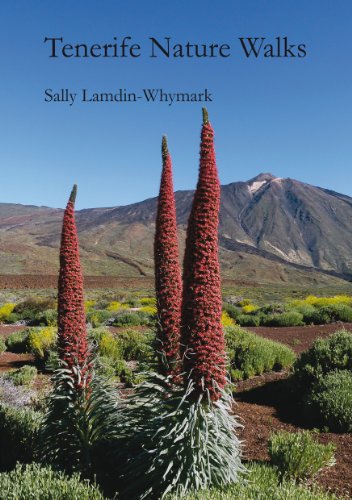 Tenerife Nature Walks