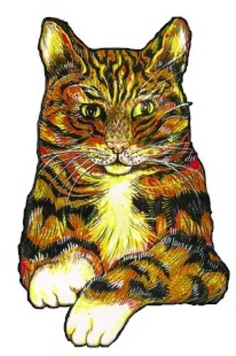 Surtsey the Cat