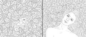 Fairies: The Colouring Book of Secrets 