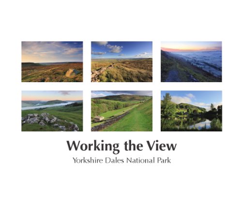 Working the View
