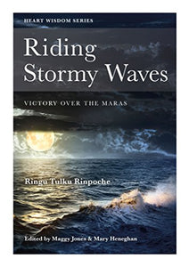 Riding Stormy Waves 