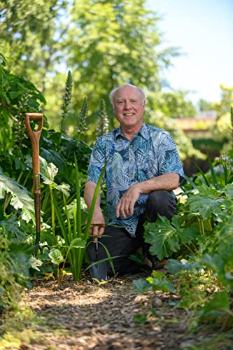 Understanding Roots