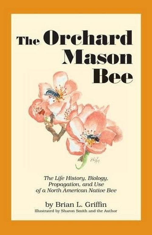 The Orchard Mason Bee