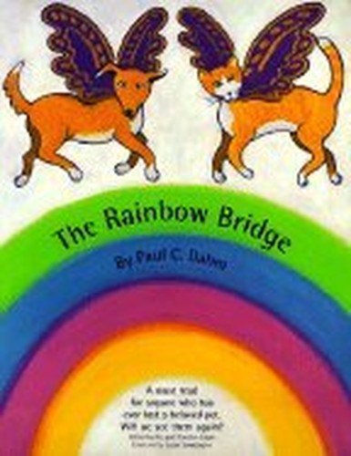 Rainbow Bridge I : The Link with the Soul
