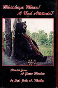 Whatdaya Mean! a Bad Attitude? 