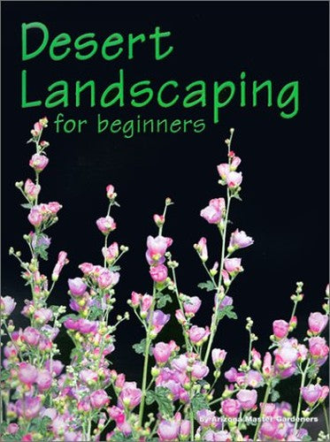 Desert Landscaping for Beginners