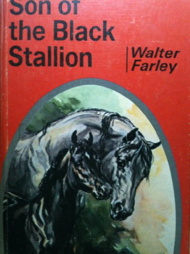 Son of the Black Stallion