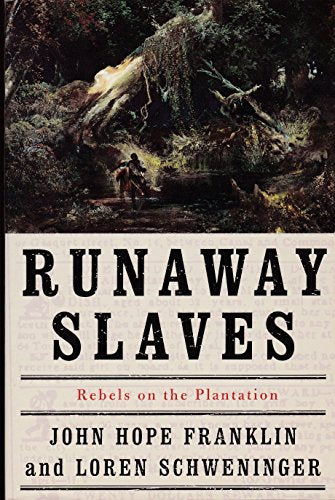 Runaway Slaves Rebels On the Plantation