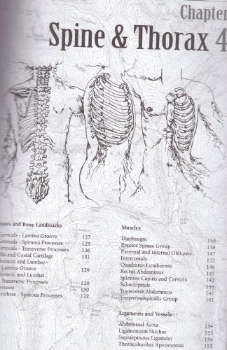 Trail Guide to the Body How to Locate Muscles Bones and More
