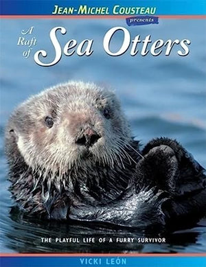 A Raft of Sea Otters