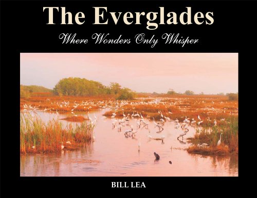 The Everglades