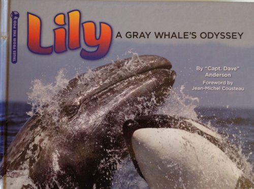 Lily, a Gray Whale's Odyssey