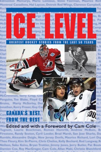 Ice Level