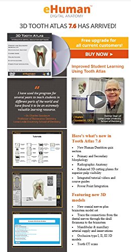 eHuman Digital Anatomy 3D Tooth Atlas v7.6
