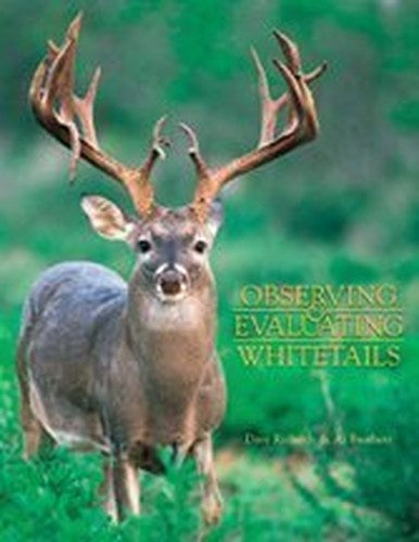 Observing  Evaluating Whitetails