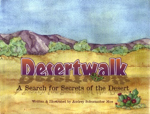 Desertwalk