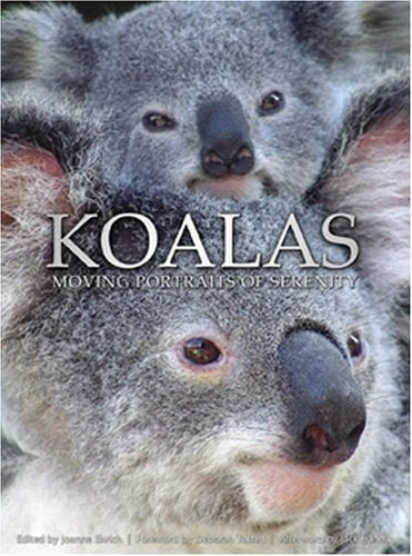 Koalas