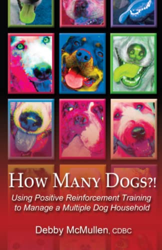 How Many Dogs?!