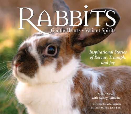 Rabbits