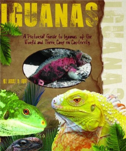 A Pictorial Guide to Iguanas of the World