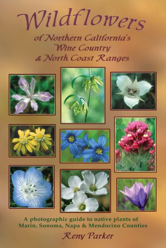 Wildflowers of Northern California's Wine Country and North Coast Ranges