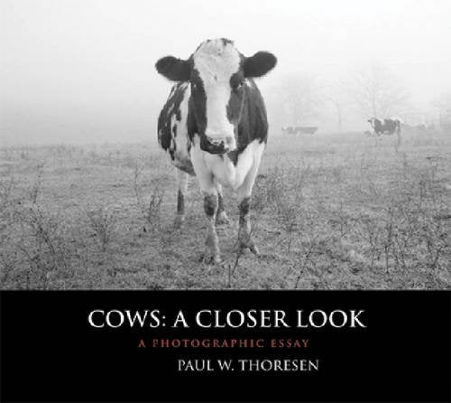 Cows: a Closer Look