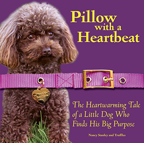Pillow With a Heartbeat*** No Rights