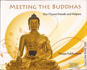 Meeting the Buddhas
