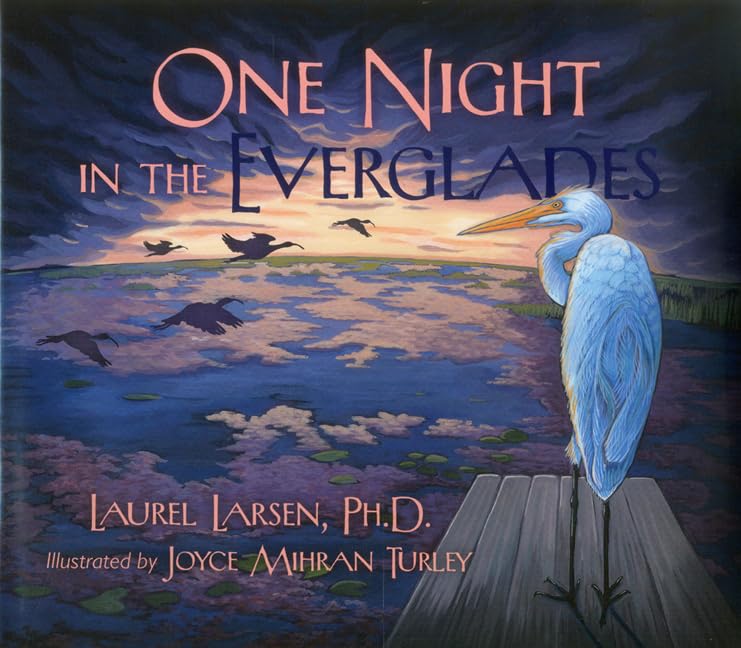 One Night in the Everglades