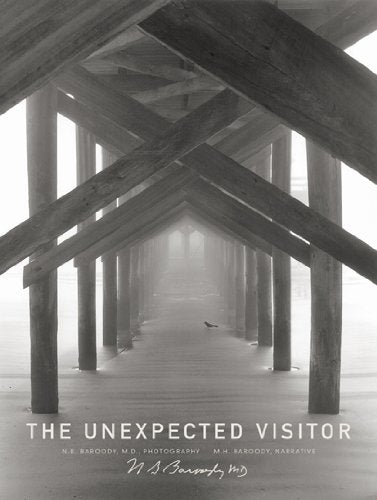 The Unexpected Visitor