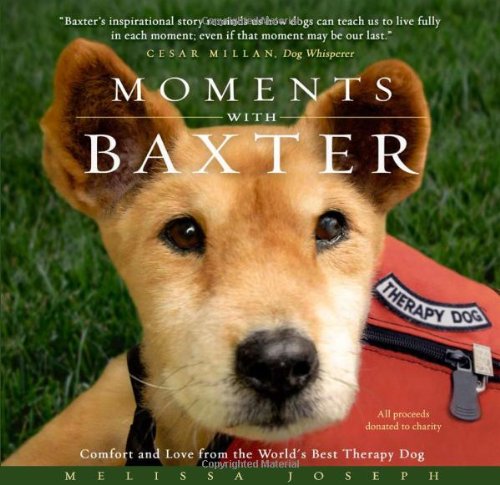 Moments with Baxter