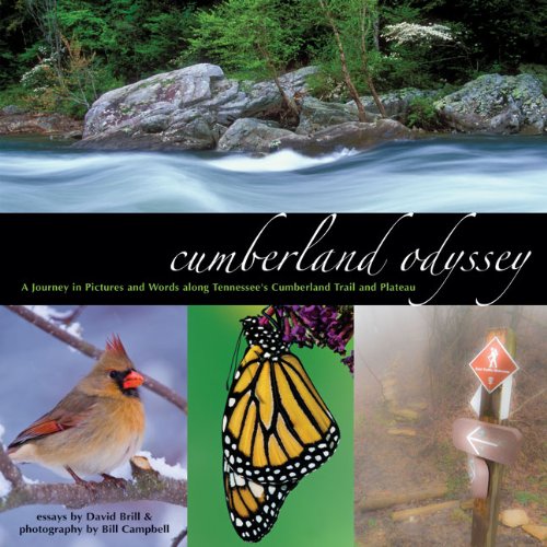 Cumberland Odyssey
