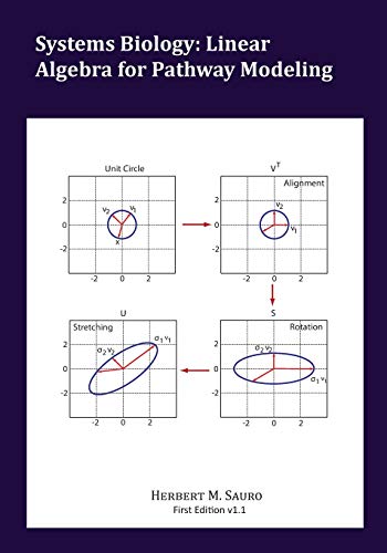 Systems Biology