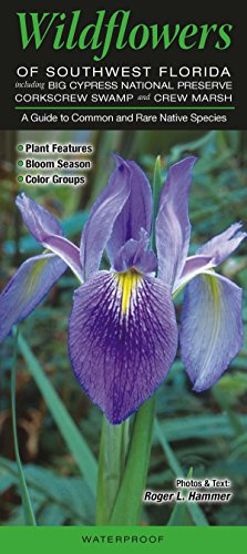 Wildflowers of Southwest Florida Including Big Cypress NP, Corkscrew Swamp & Crew Marsh