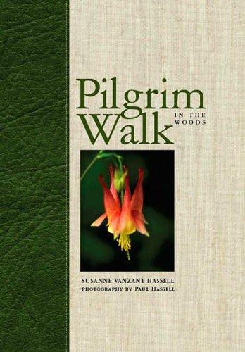Pilgrim Walk in the Woods