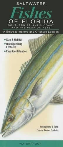 Saltwater Fishes of Florida-Southern Atlantic Coast & the Florida Keys